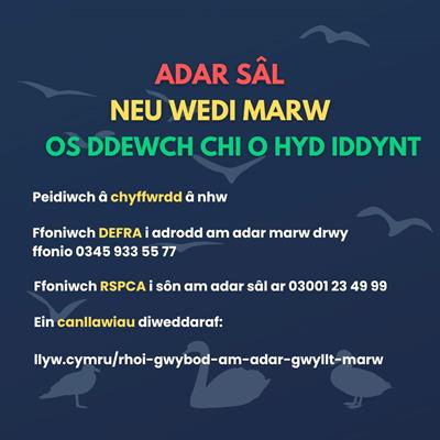 Image: Welsh Government