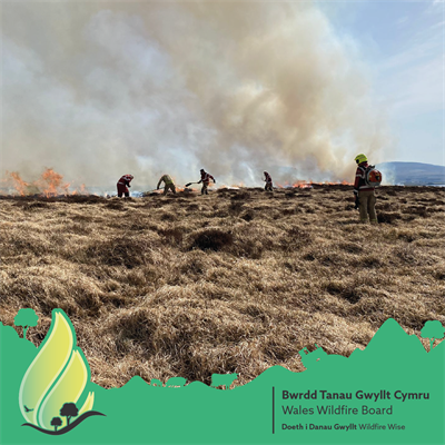 Wildfire Wise