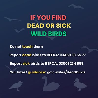 Image: Welsh Government