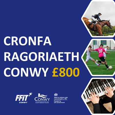 Cronfa Ragoriaeth Conwy