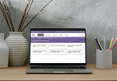 Schools Consultations