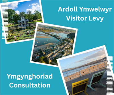 Visitor Levy Consultation