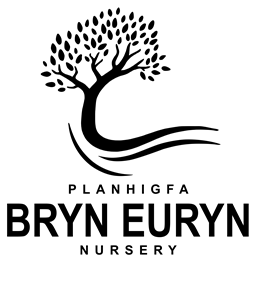 Bryn Euryn Logo