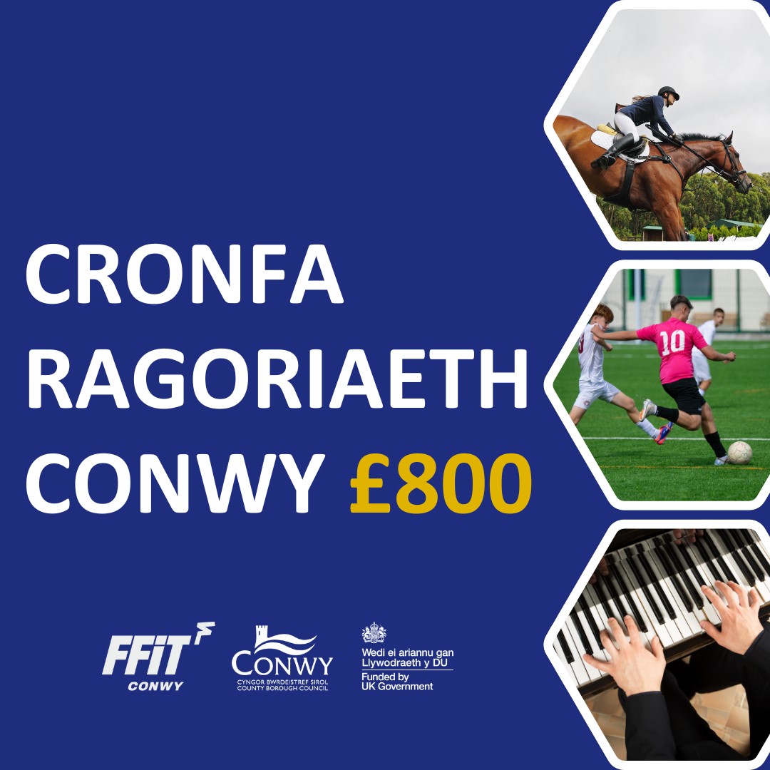 Cronfa Ragoriaeth Conwy 
