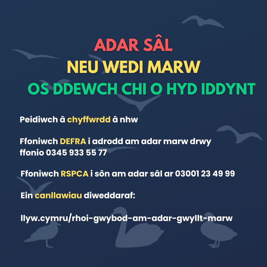 Llun: Llywodraeth Cymru