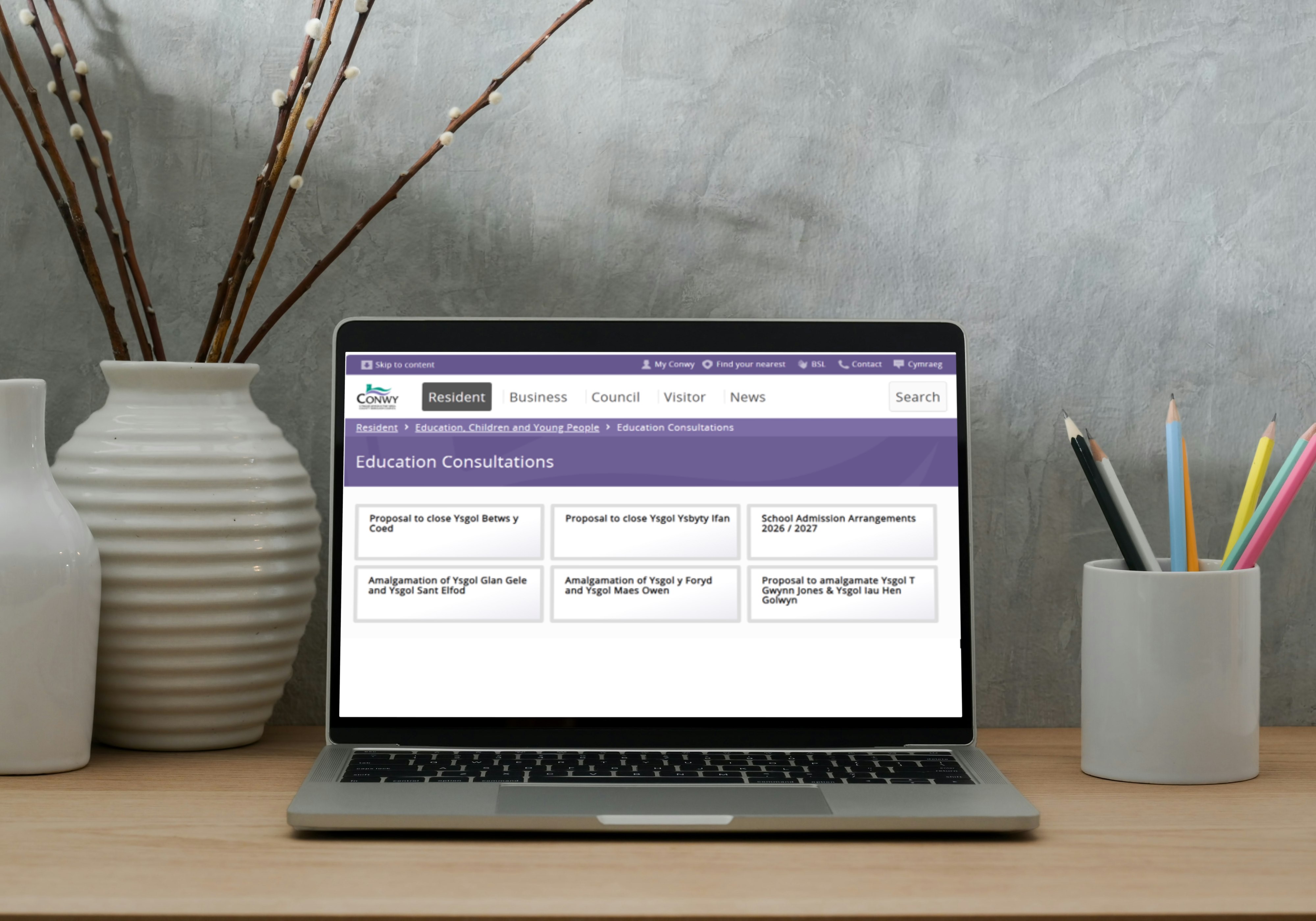 School Consultations