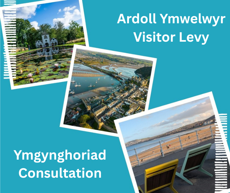 Visitor Levy consultation