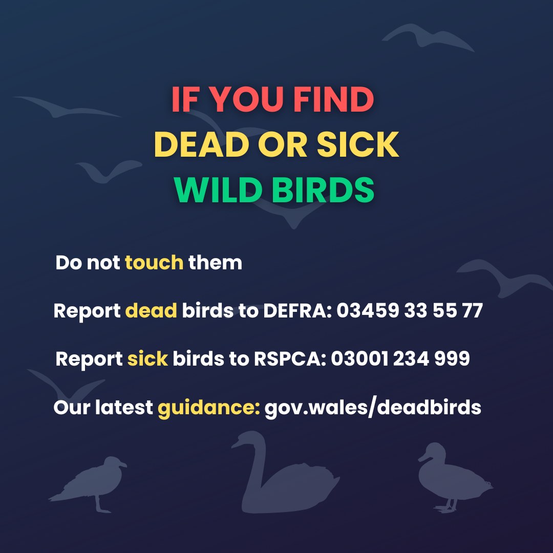 Image: Welsh Government