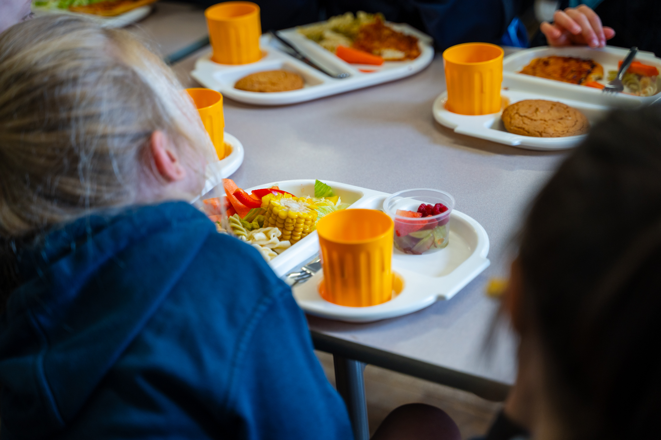 Universal Primary Free School Meals